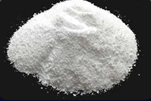 WhatsApp Image 2025-12-08 at 1.44.07 PM