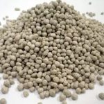 WhatsApp Image 2025-12-08 at 2.06.48 PM